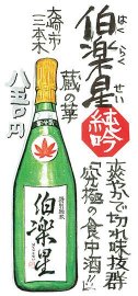 日本酒酒手描きイラスト